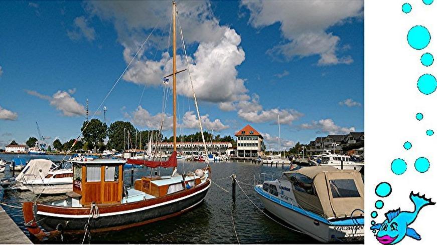 טראסנהיידה Ferienwohnung Mit Terrasse - Insel Usedom מראה חיצוני תמונה