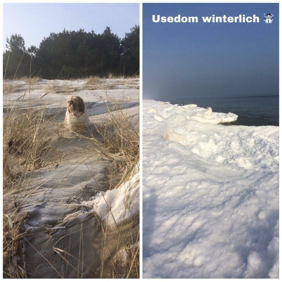 טראסנהיידה Ferienwohnung Mit Terrasse - Insel Usedom מראה חיצוני תמונה